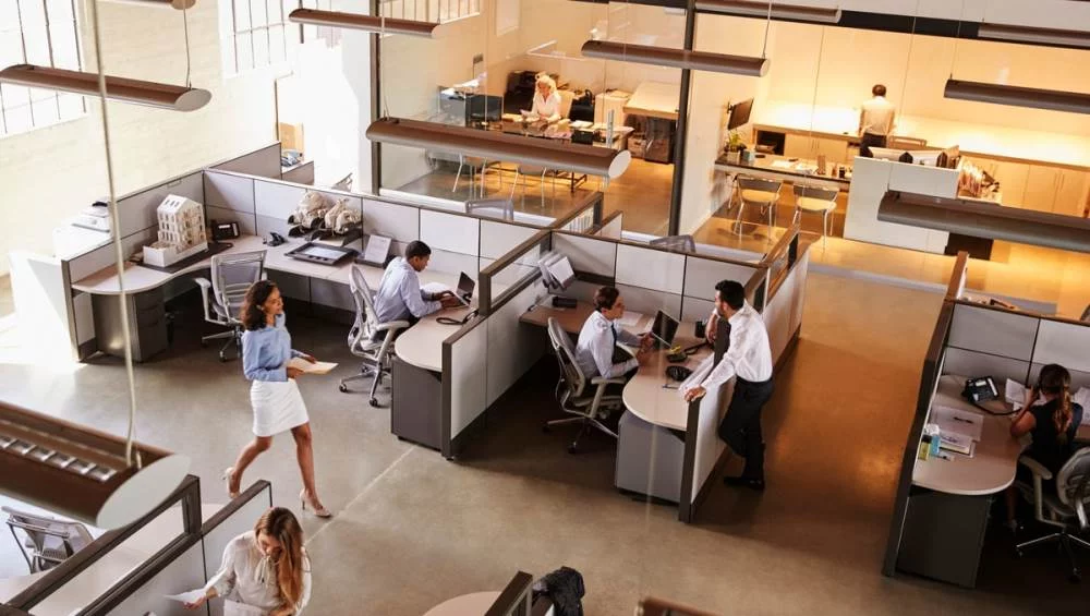 Merging Tech and Design for Workplace Wellness